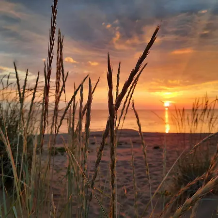 Sandy Kelt - Irish House 4* 卡拉约基