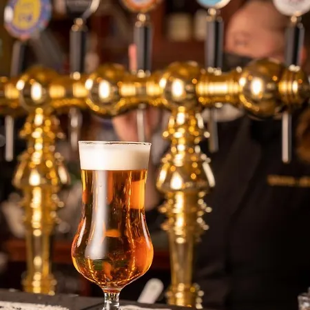 Sandy Kelt - Irish House 4* 卡拉约基